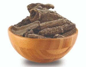 شرب القسط الهندي