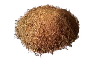 طريقة استخدام القسط الهندي للنساء