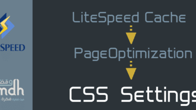 CSS Settings في LiteSpeed Cache شرح شامل لكل الإعدادات