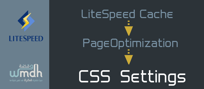 CSS Settings في LiteSpeed Cache شرح شامل لكل الإعدادات