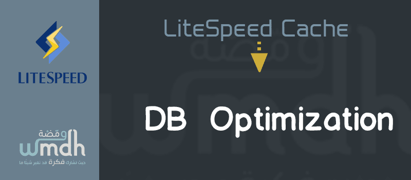 DB Optimization في LiteSpeed Cache شرح شامل لكل الإعدادات