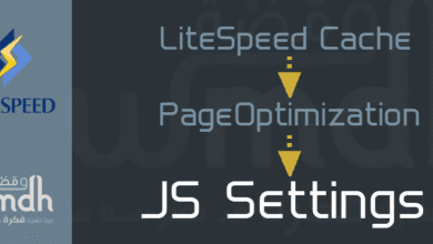 JS Settings في LiteSpeed Cache شرح شامل لكل الإعدادات