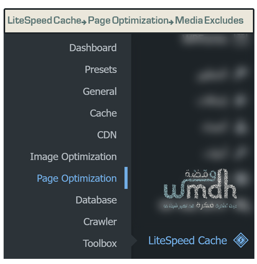 LiteSpeed Cache→ Page Optimization→ Media