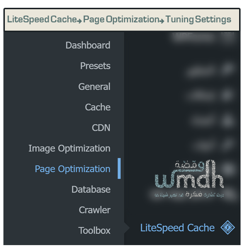 LiteSpeed Cache→ Page Optimization→ Tuning Settings