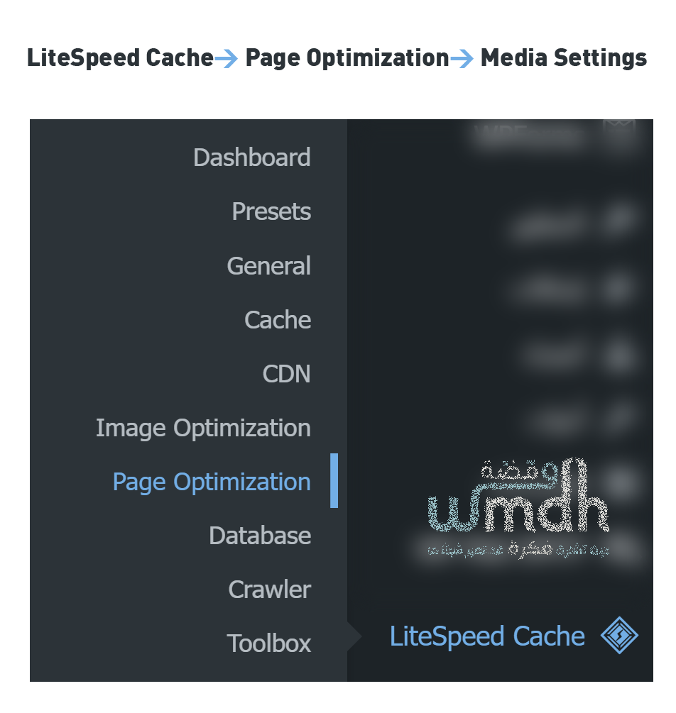 Media Settings في LiteSpeed Cache شرح شامل لكل الإعدادات