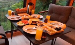 Necran Bungalow أكواخ أيدر