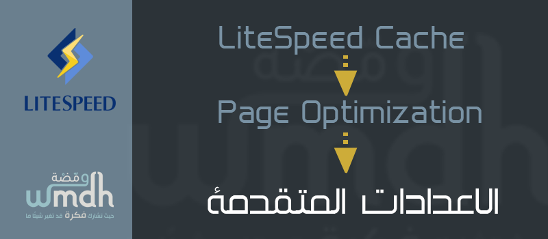 Page Optimization في LiteSpeed Cache اعدادات المتقدمة - ومضة | wmdh