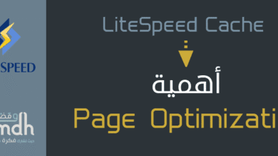 Page Optimization في LiteSpeed Cache