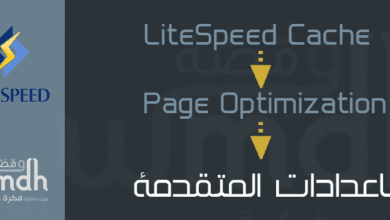 Page Optimization في LiteSpeed Cache اعدادات المتقدمة