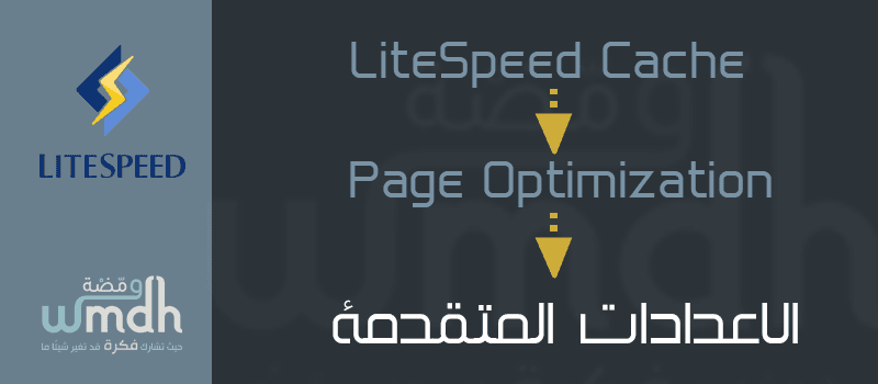 Page Optimization في LiteSpeed Cache اعدادات المتقدمة