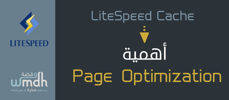 Page Optimization في LiteSpeed Cache