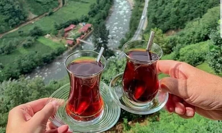 أفضل وقت لزيارة الشمال التركي