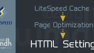 اعدادات HTML Settings في LiteSpeed Cache