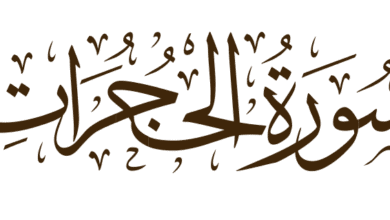 تأملات في سورة الحجرات: دروس ومبادئ أخلاقية من القرآن الكريم