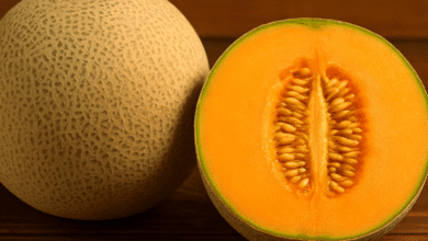 فوائد الشمام الصحية ترطيب، دعم للمناعة، وتحسين الهضم