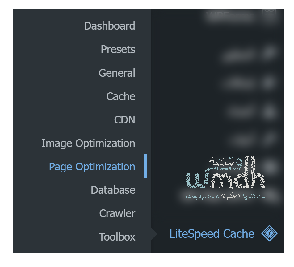 قسم CSS Settings داخل Page Optimization في LiteSpeed Cache