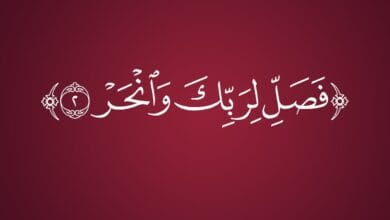 شروط الأضحية في الإسلام