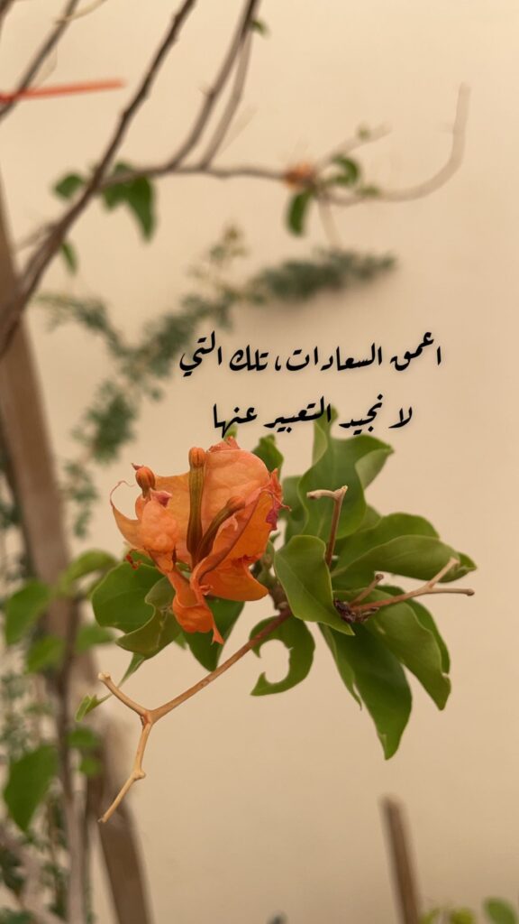 مساء الحب عبارات رومانسية دافئة