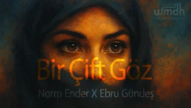 Bir Çift Göz Şarkı Sözleri