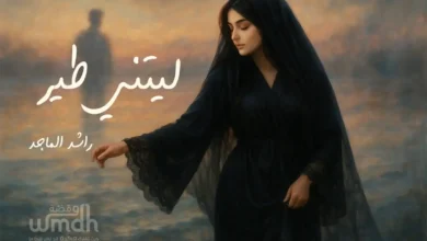 كلمات اغنية ليتني طير راشد الماجد