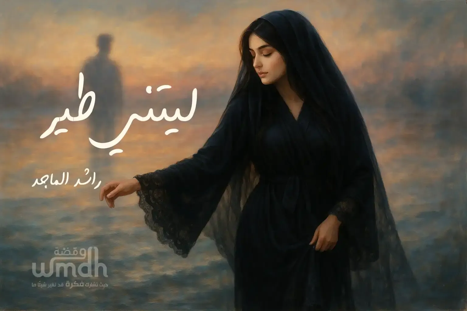 كلمات اغنية ليتني طير راشد الماجد