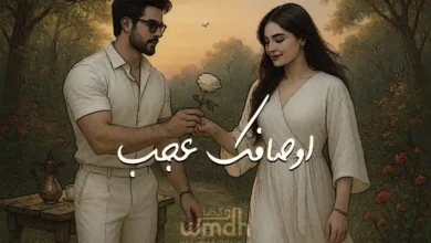 كلمات اوصافك عجب فؤاد عبدالواحد