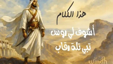 كلمات هذا الكلام راشد الماجد