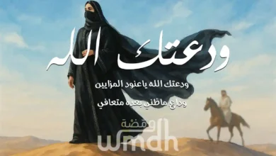 قصيدة ودعتك الله ياعنود المزايين