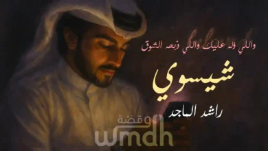 كلمات شيسوي راشد الماجد