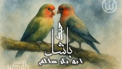 كلمات اغنية باشل حبك أبو بكر سالم