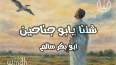 كلمات اغنية شلنا يا بو جناحين ابو بكر سالم