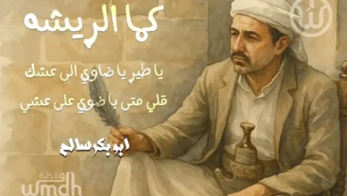 كلمات اغنية كما الريشة أبو بكر سالم