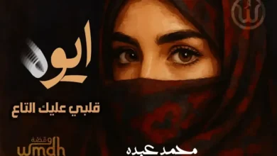 كلمات ايوه محمد عبده