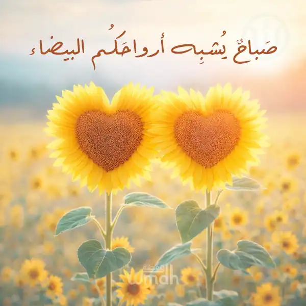 رسائل صباح السعادة للأصدقاء