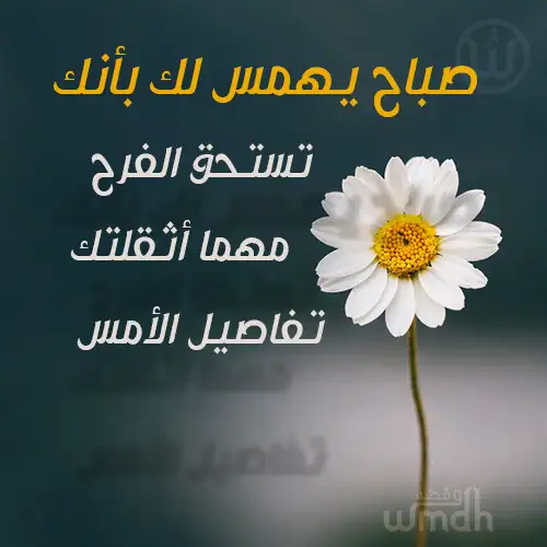 صباح السعادة والهنا