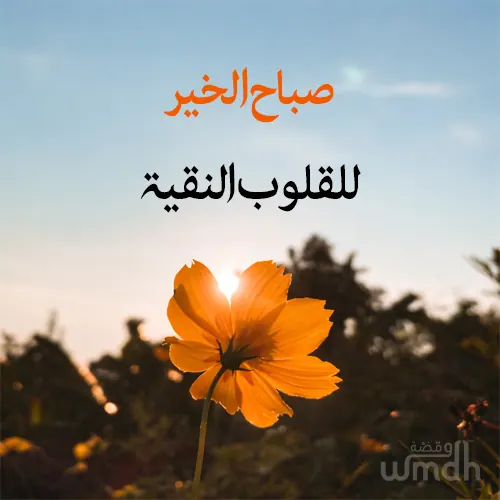 صباح السعادة وراحة البال